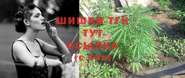 спиды Армянск