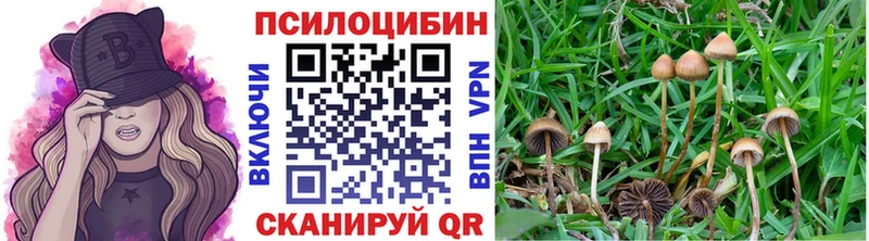 как найти наркотики  Североуральск  Галлюциногенные грибы MAGIC MUSHROOMS 